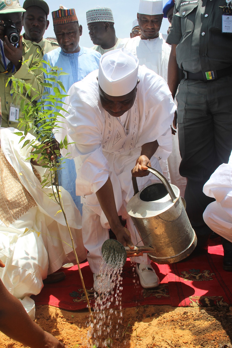 Governor Aminu Waziri Tambuwal planting a tree to flag-off the 2015 tree planting campaign in Kawadata, Goronyo LGA of Sokoto State.